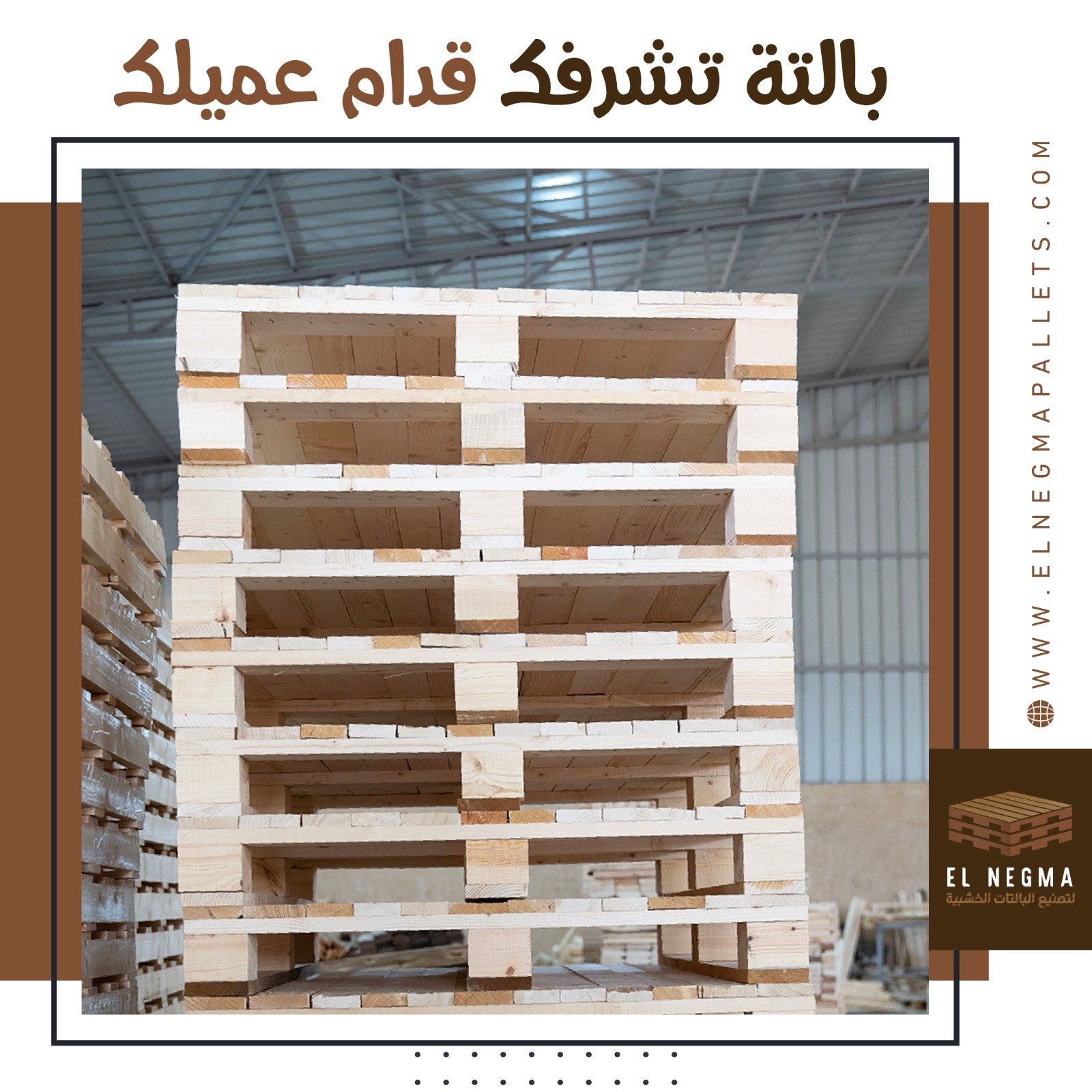بالتة الدكم الخشبية: الدليل الشامل للمواصفات والاستخدامات في مصر